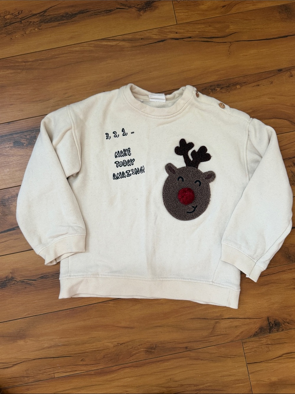 ZARA kids 3T - 4T Cream Kids Reindeer Sweatshirt - Make Today Amazing